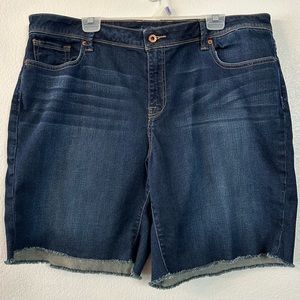 Lucky Brand Dark Blue Denim Jean Shorts